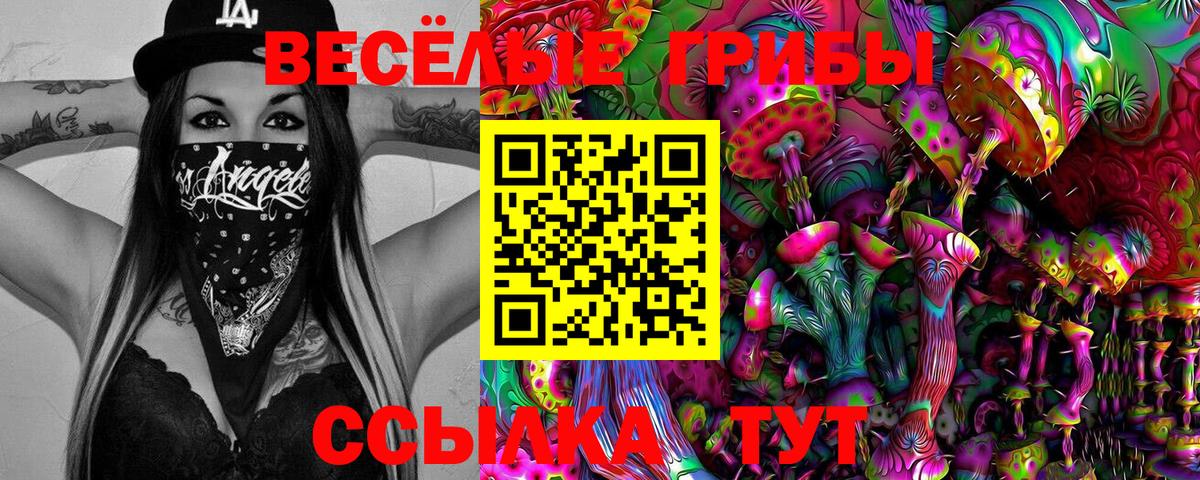 Псилоцибиновые грибы ЛСД Усолье-Сибирское